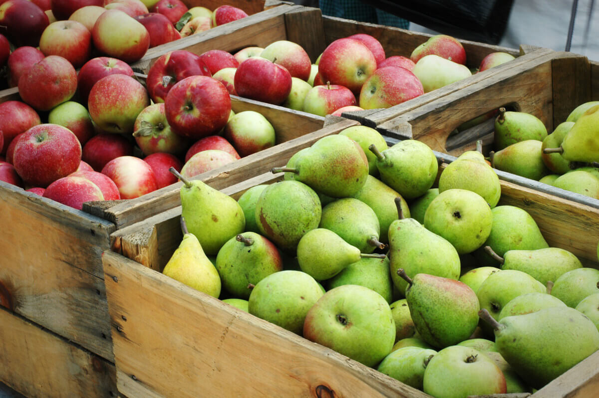 Cagette de fruits de saison